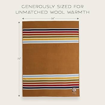 Amazon.com: Pendleton National Park Throw with Leather